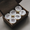 12 French Lavender & Marjoram Scented Botanical Soy Wax Melts - The Botanical Candle Co.