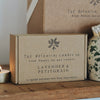 The Mantlepiece Gift Box - The Botanical Candle Co.