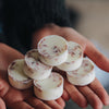 12 Last Light Scented Botanical Soy Wax Melts© - The Botanical Candle Co.