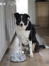 Navy & Cream Splatterware Enamel Pet Bowls - The Botanical Candle Co.