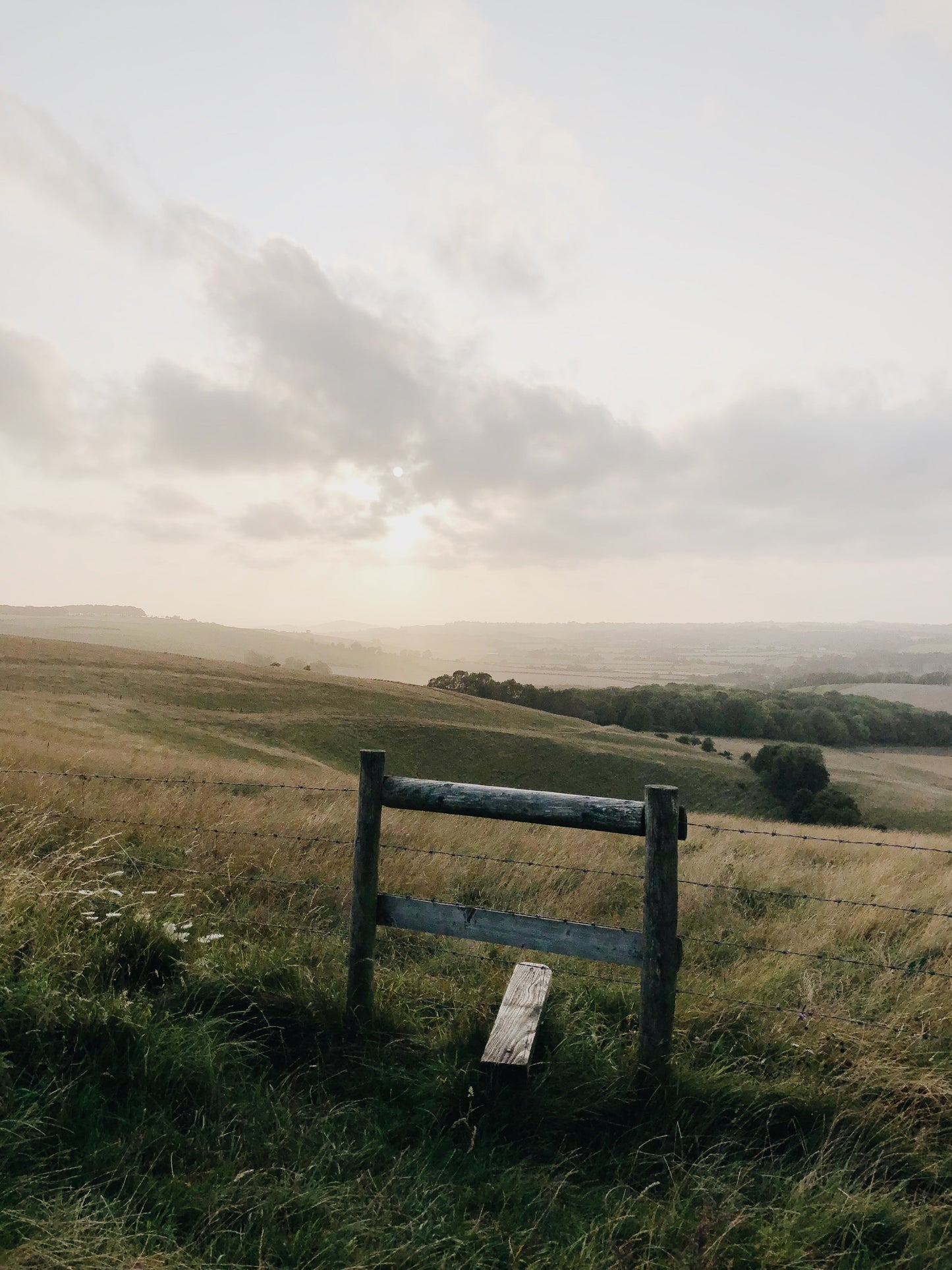 Five New Reasons To Visit Shaftesbury This Winter