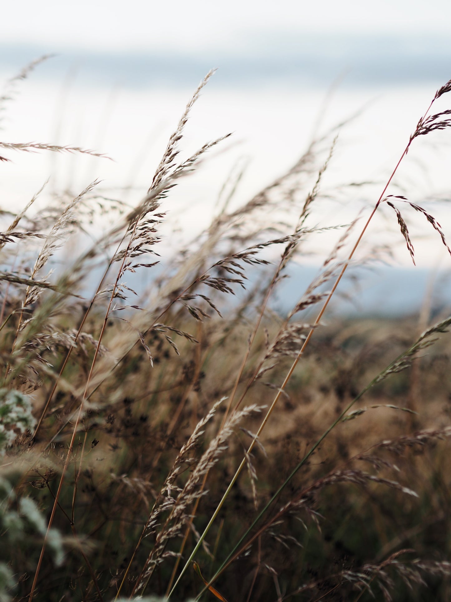 The Perfect Autumn Weekend in Shaftesbury