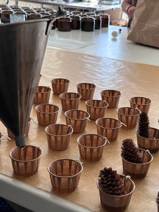  Keeping The Home Fires Burning With Pinecone Firelighters