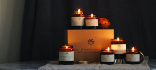  Taking a Closer Look at Our Winter Scents