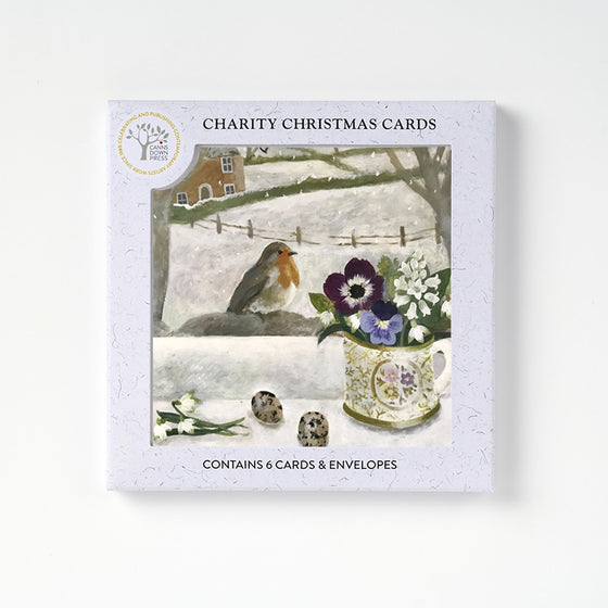A Christmas Visitor Christmas Cards (pack of 6)