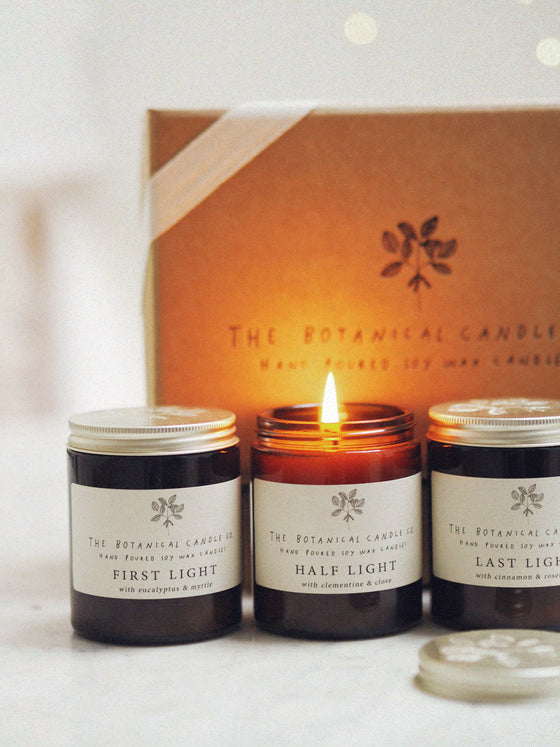 The Winter Light Collection Gift Box - The Botanical Candle Co.