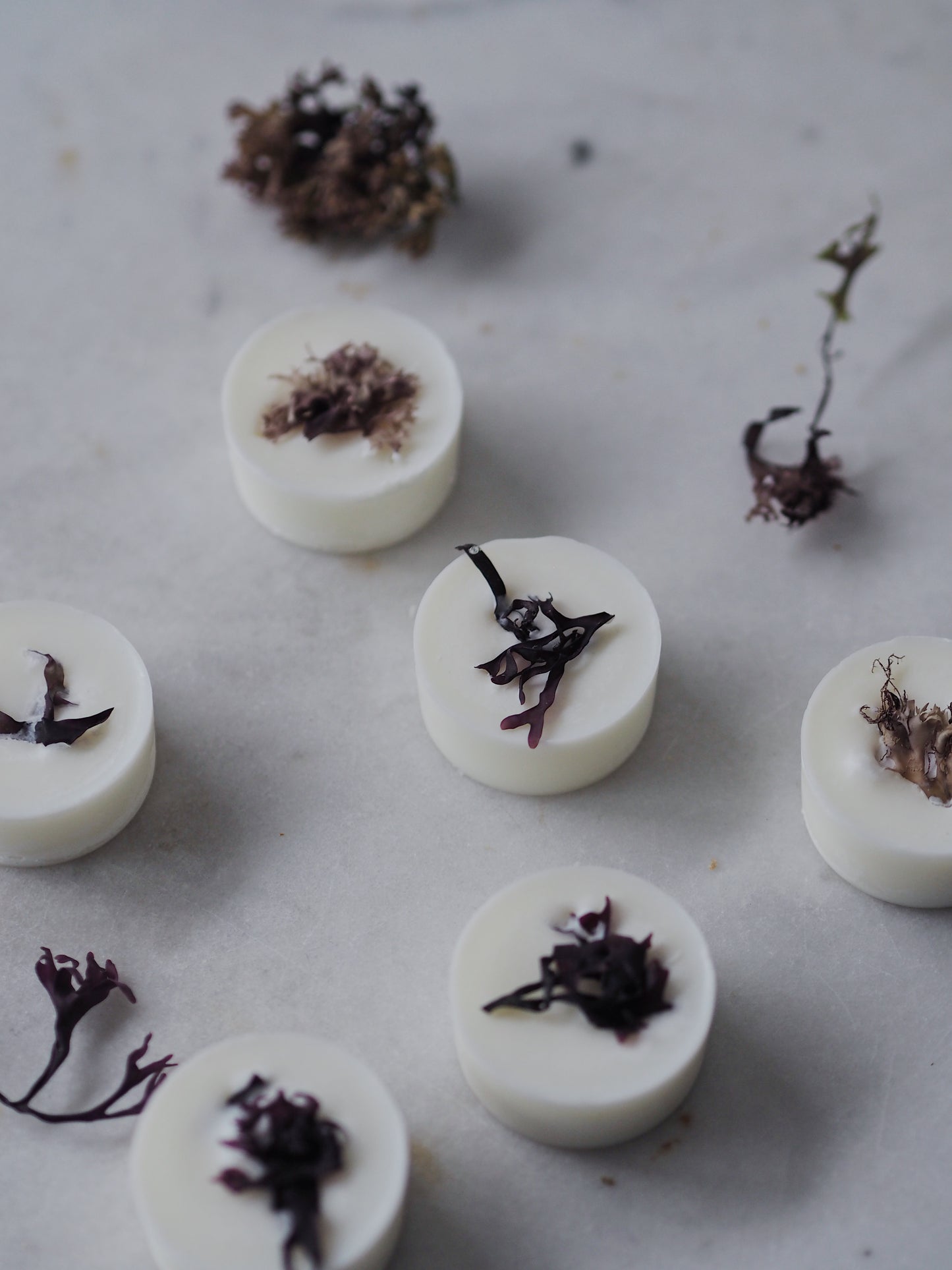 12 Spindrift Scented Botanical Soy Wax Melts - The Botanical Candle Co.