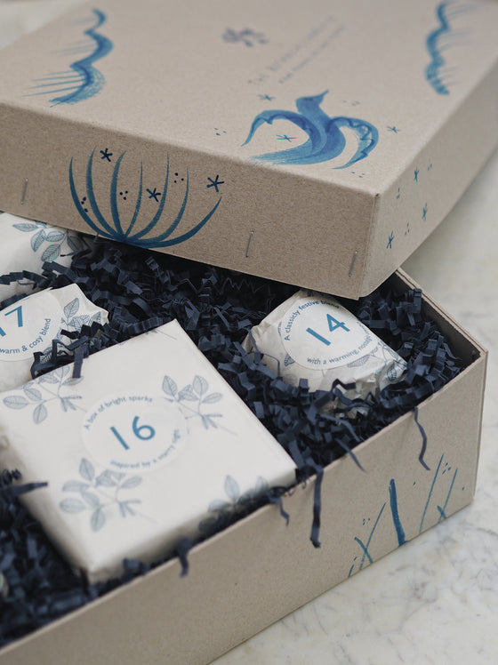 The 12 Days of Christmas Advent Box