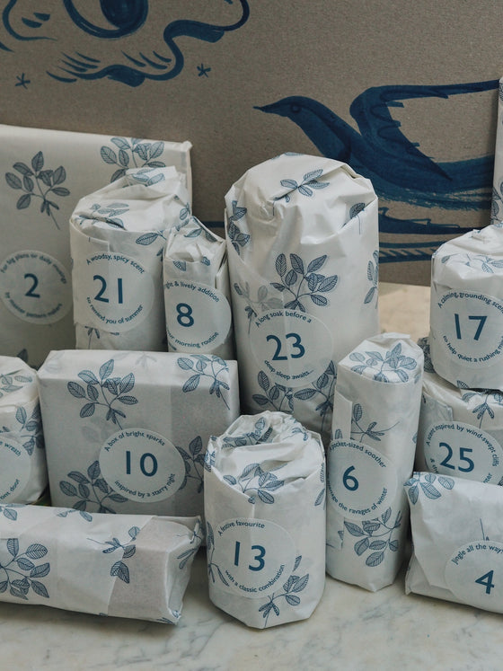 The 25 Days of Christmas Advent Box
