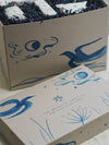 The 25 Days of Christmas Advent Box