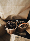 Winter Scented Pinecone Fire Lighters