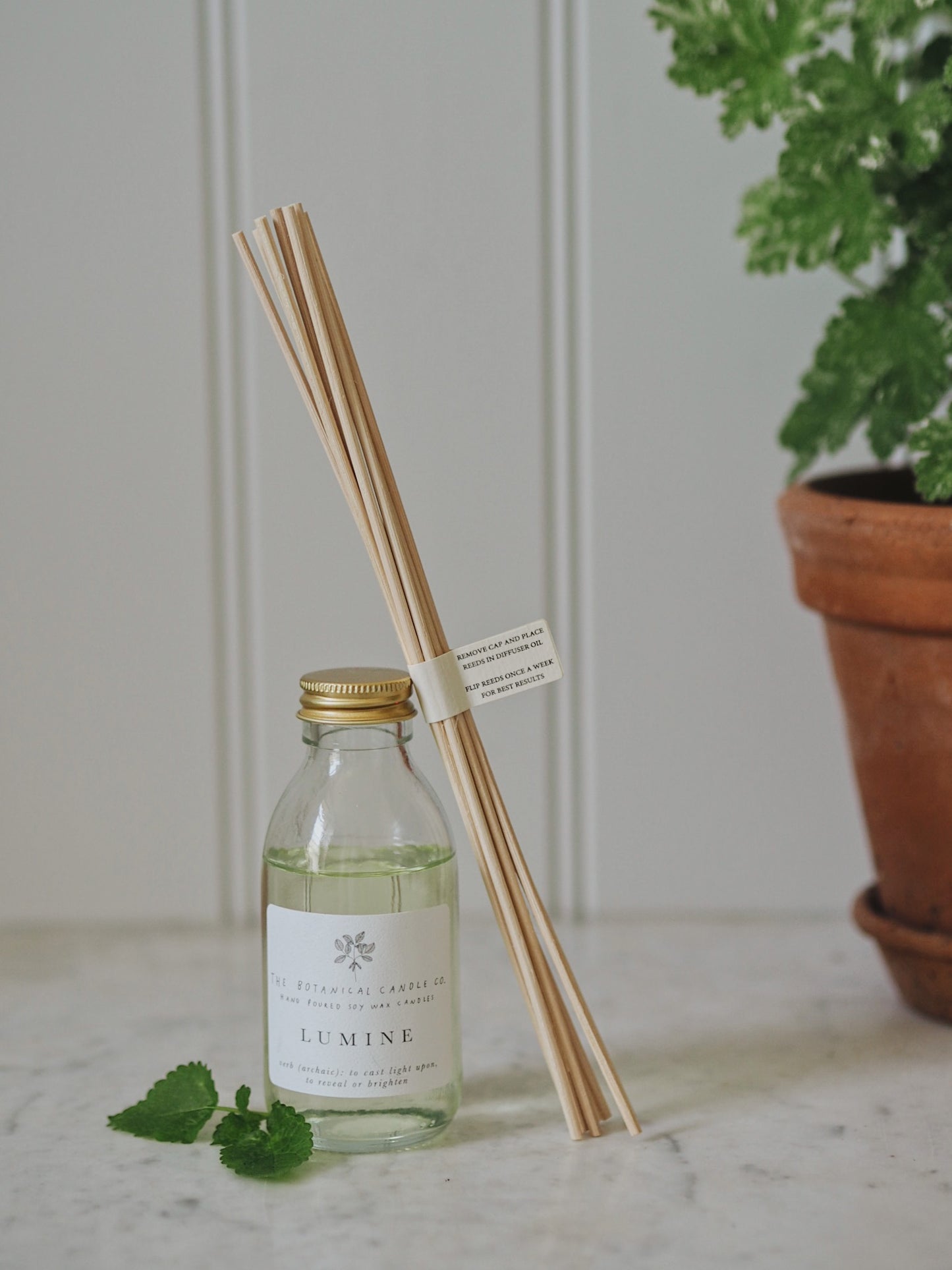 L U M I N E  Reed Diffuser - The Botanical Candle Co.