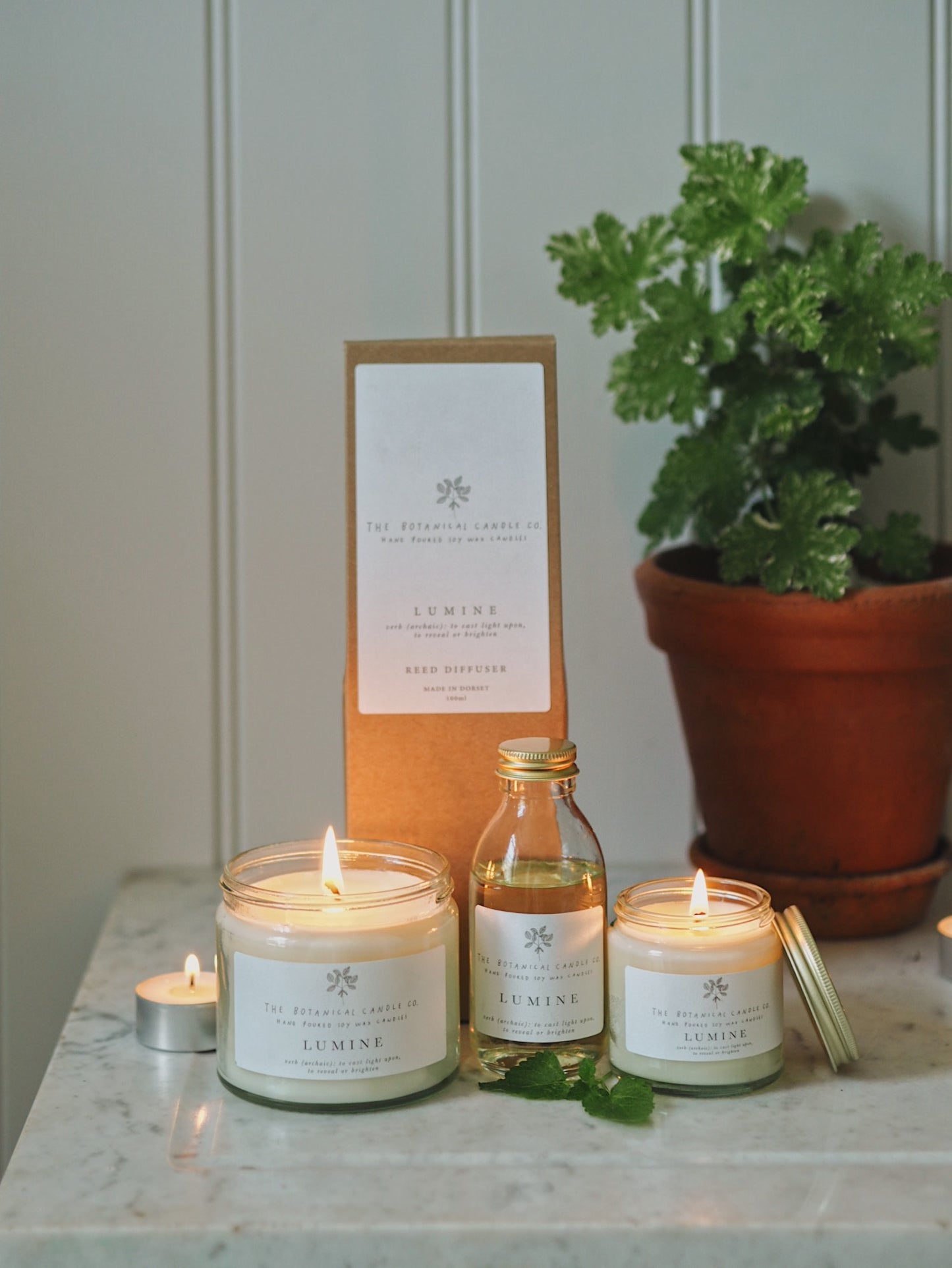 L U M I N E  Soy Wax Candles - The Botanical Candle Co.