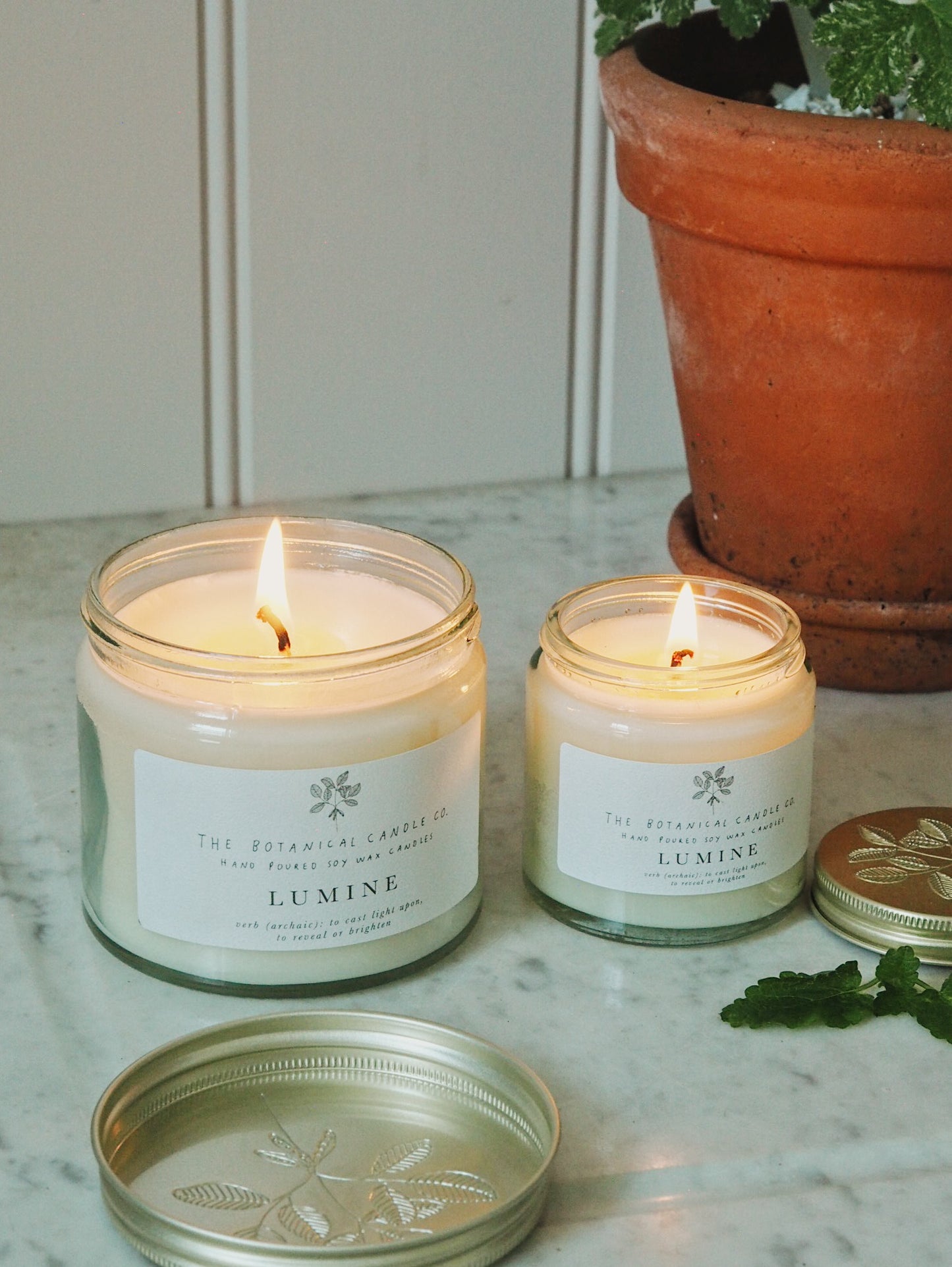 L U M I N E  Soy Wax Candles - The Botanical Candle Co.