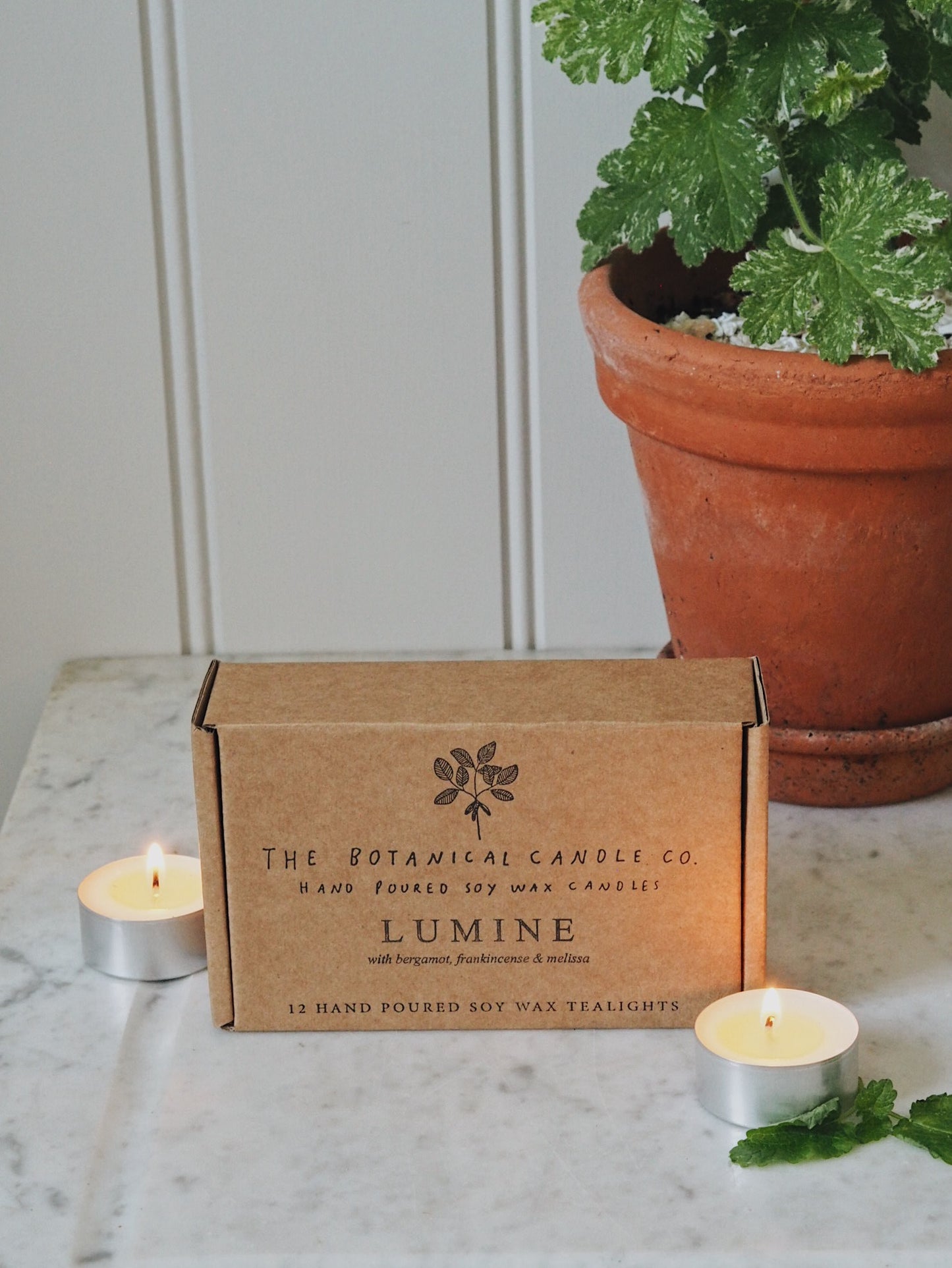 12  L U M I N E  Scented Soy Wax Tealights - The Botanical Candle Co.