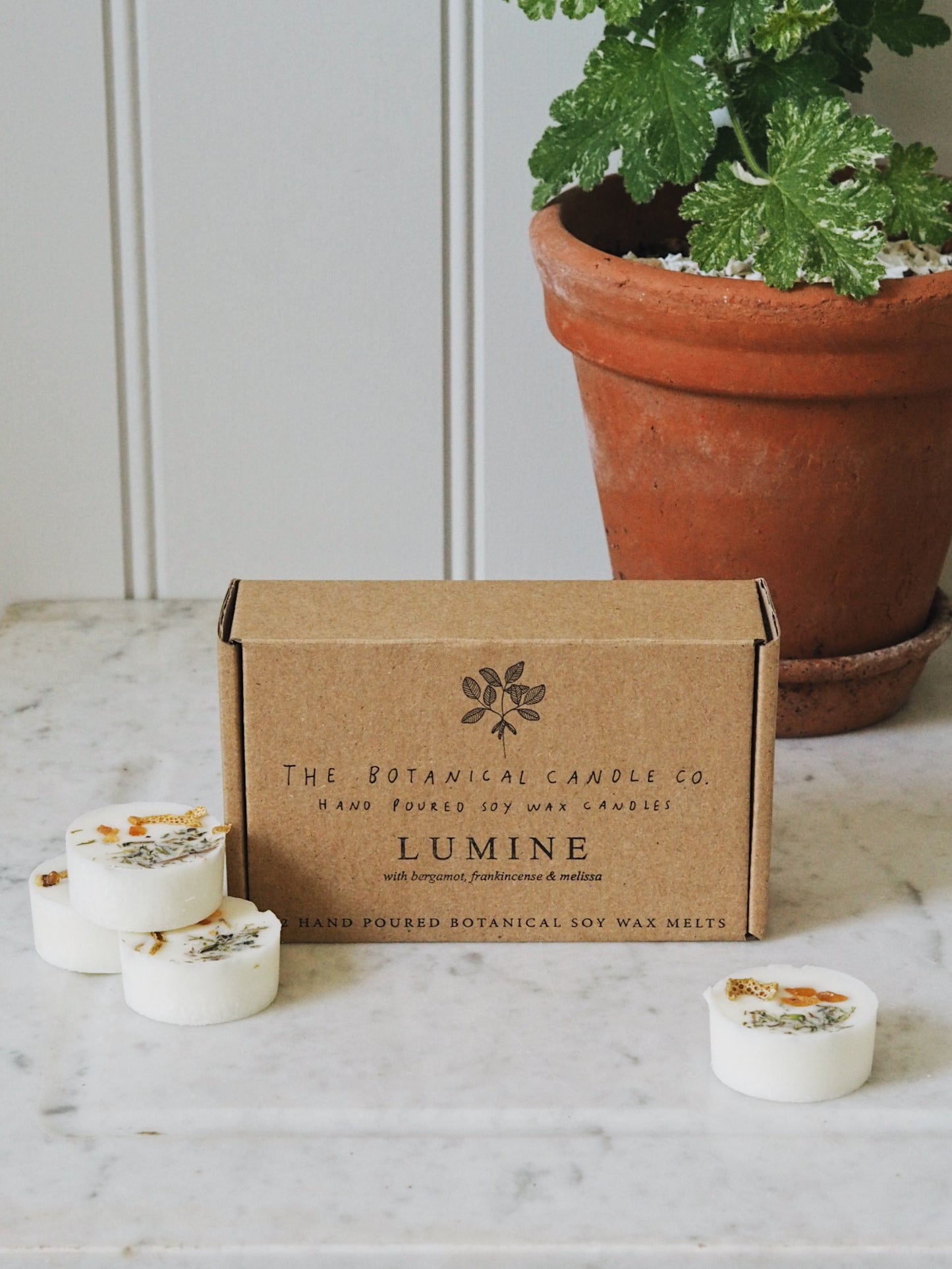12  L U M I N E  Botanical Soy Wax Melts - The Botanical Candle Co.