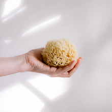  Natural Sea Sponges