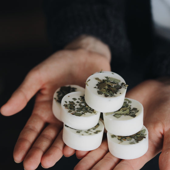 12 First Light Scented Botanical Soy Wax Melts© - The Botanical Candle Co.