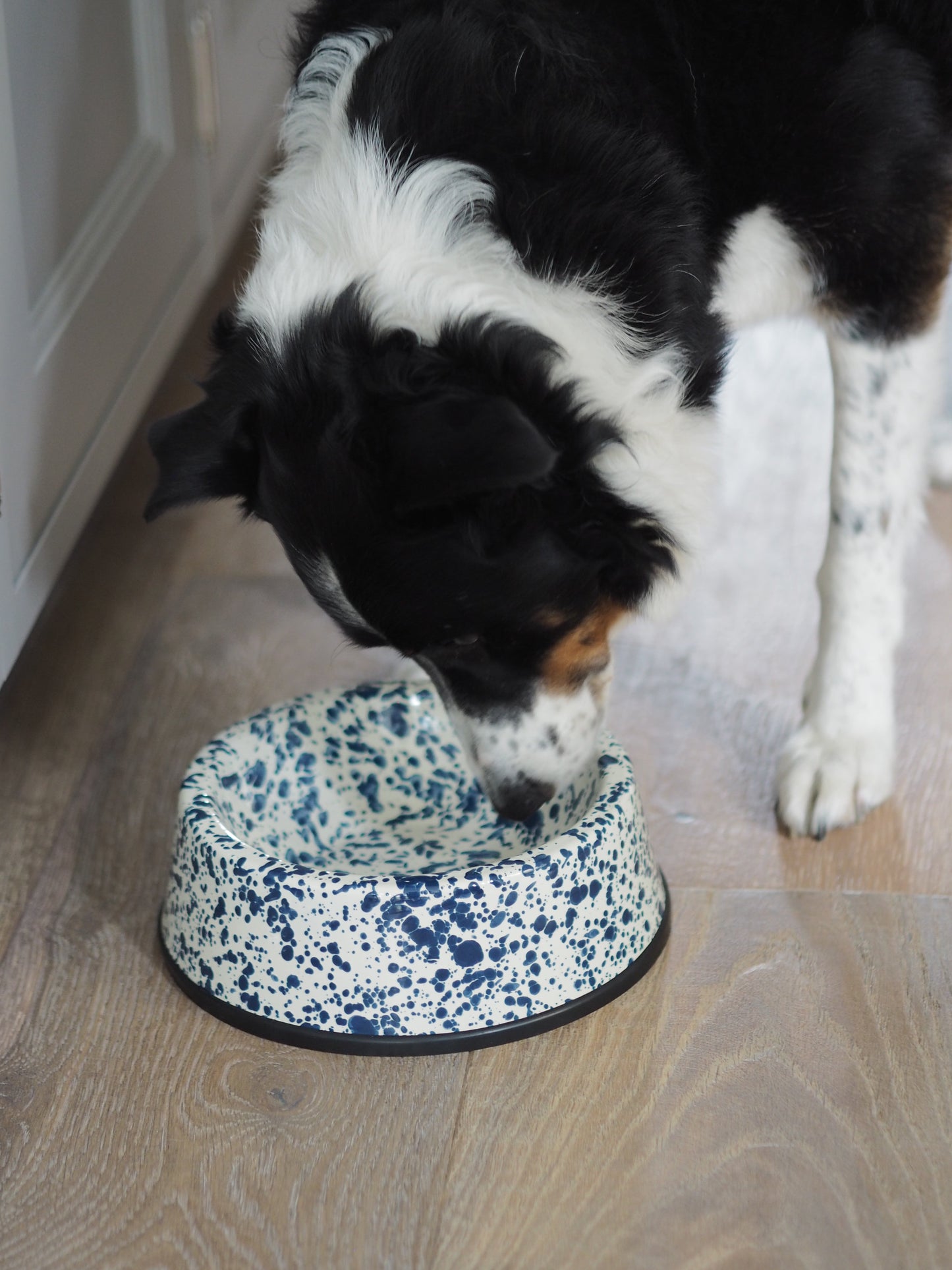 Navy & Cream Splatterware Enamel Pet Bowls - The Botanical Candle Co.